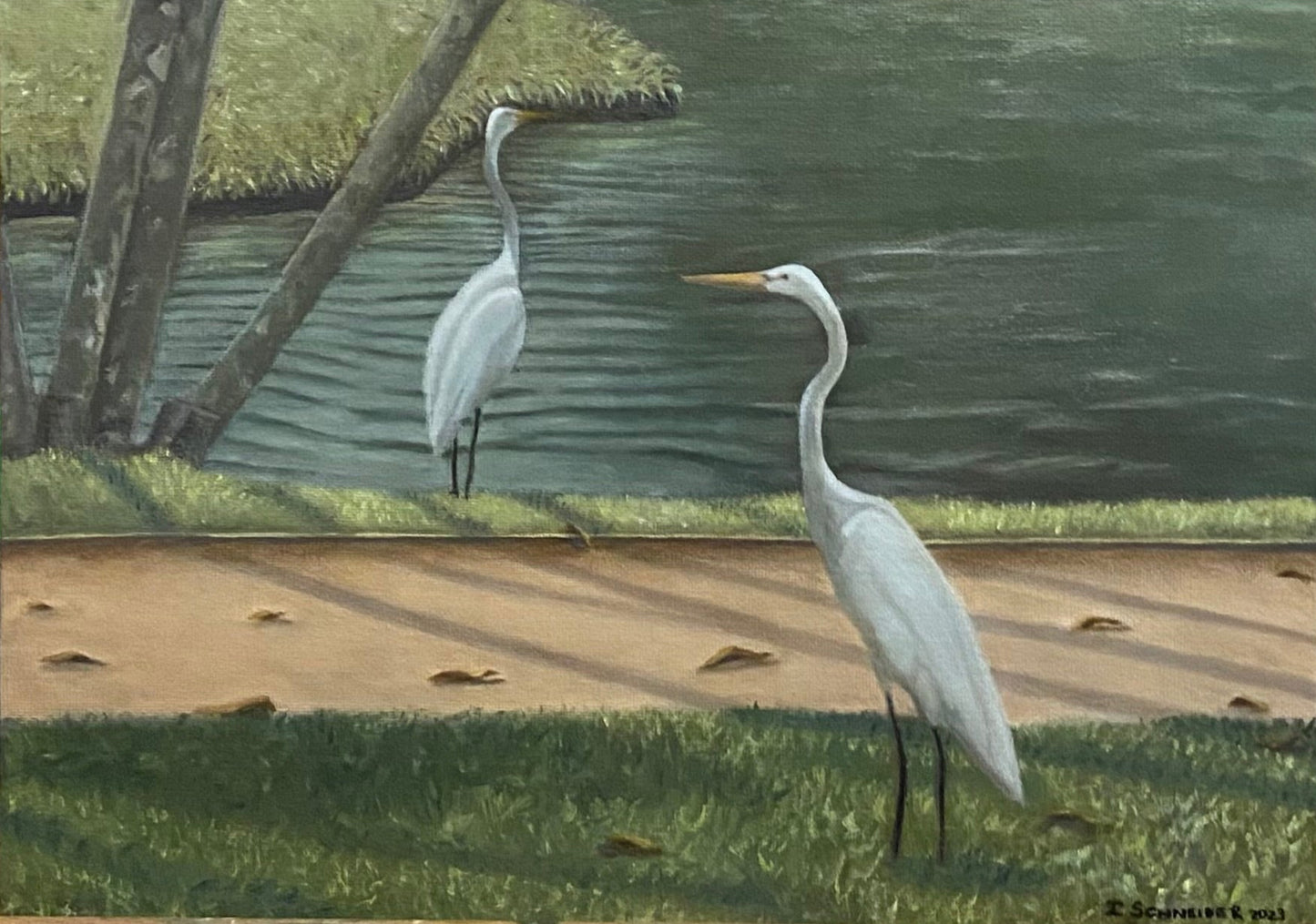 "Two white herons from Mangal das Garças" (25X35cm)