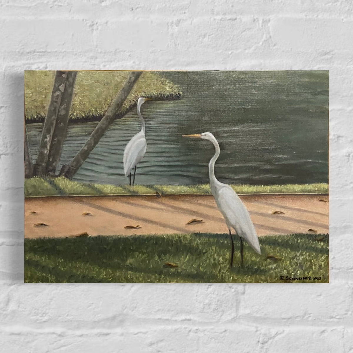 "Two white herons from Mangal das Garças" (25X35cm)